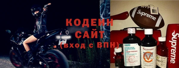 индика Каменка