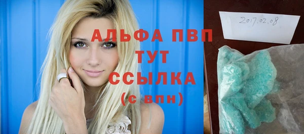 СК Касимов