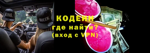 хмурый Карпинск