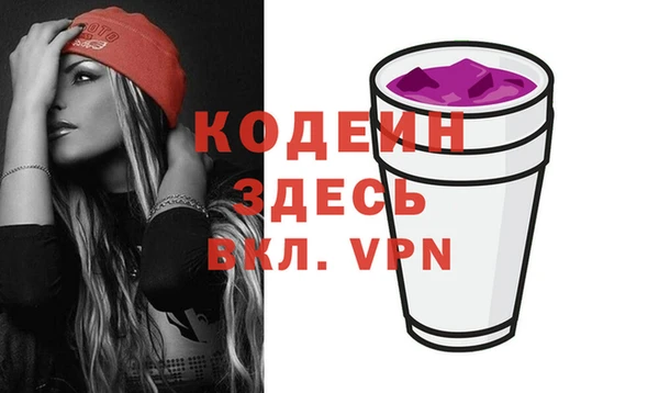хмурый Карпинск