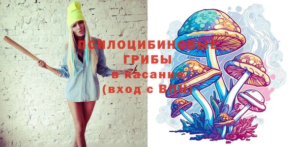СК Касимов
