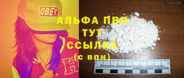 СК Касимов