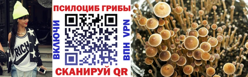 Псилоцибиновые грибы GOLDEN TEACHER  Кировград 